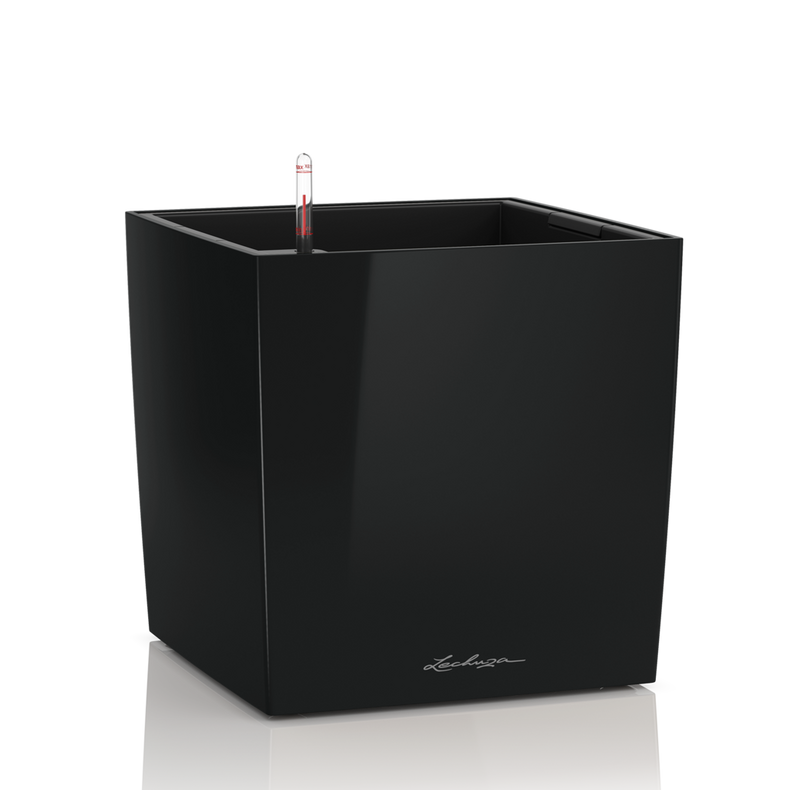 16469_product_image
