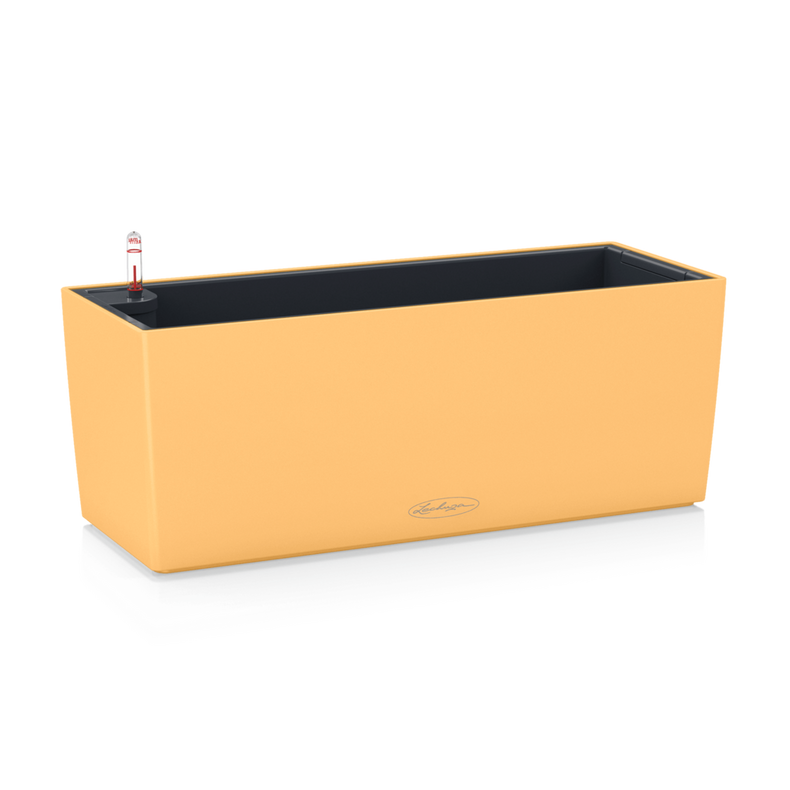 16651_product_image