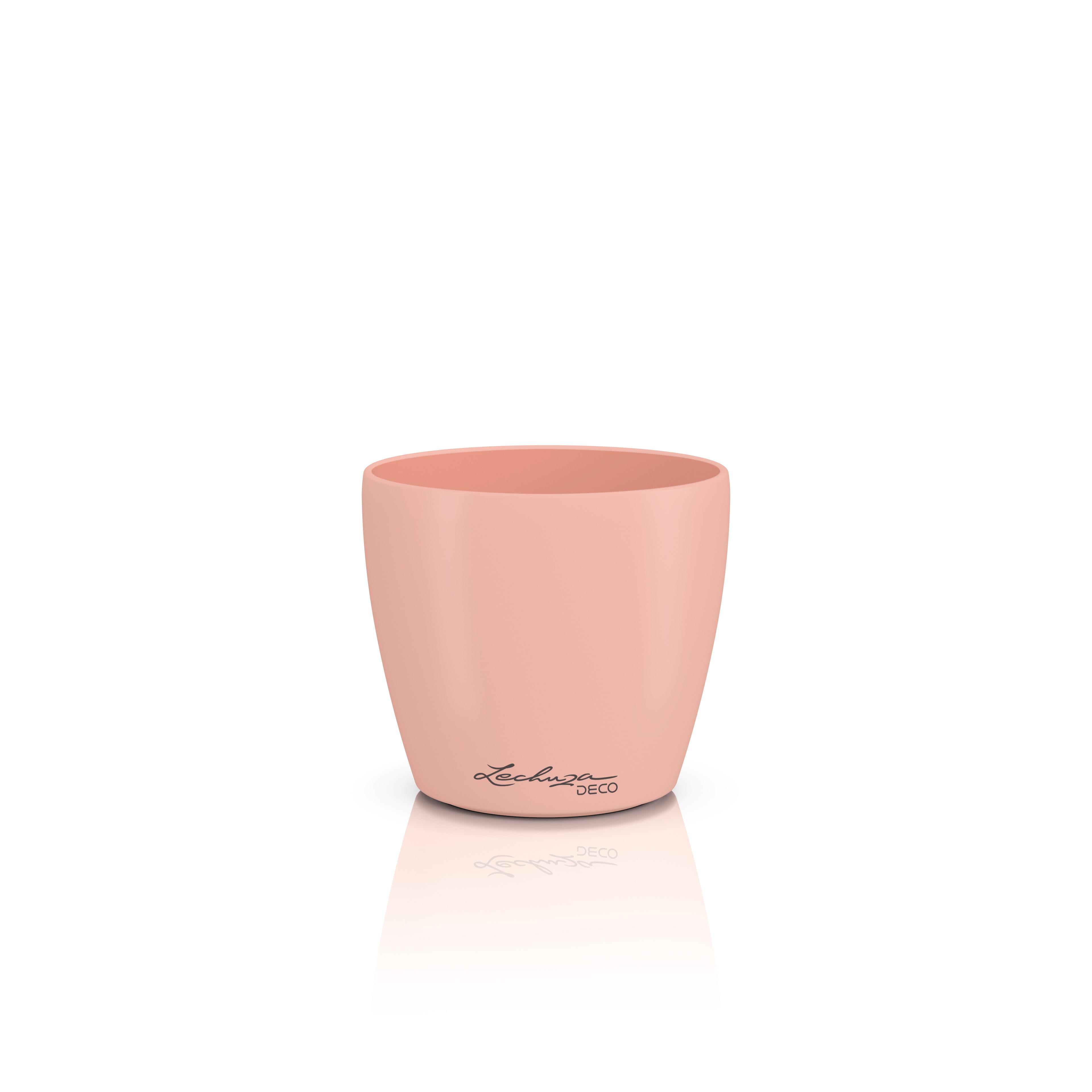 DECO 10 magnolie