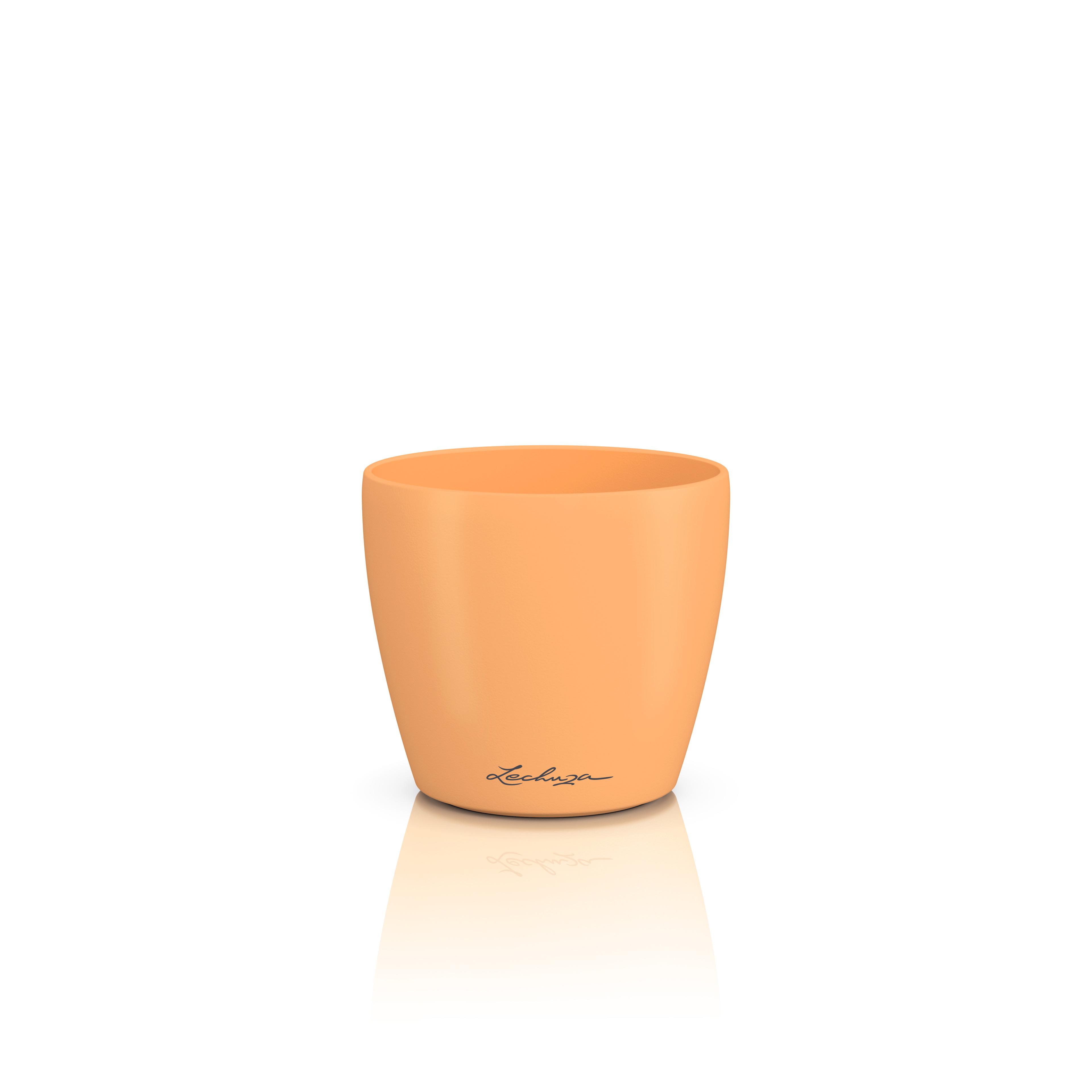 16665_product_image