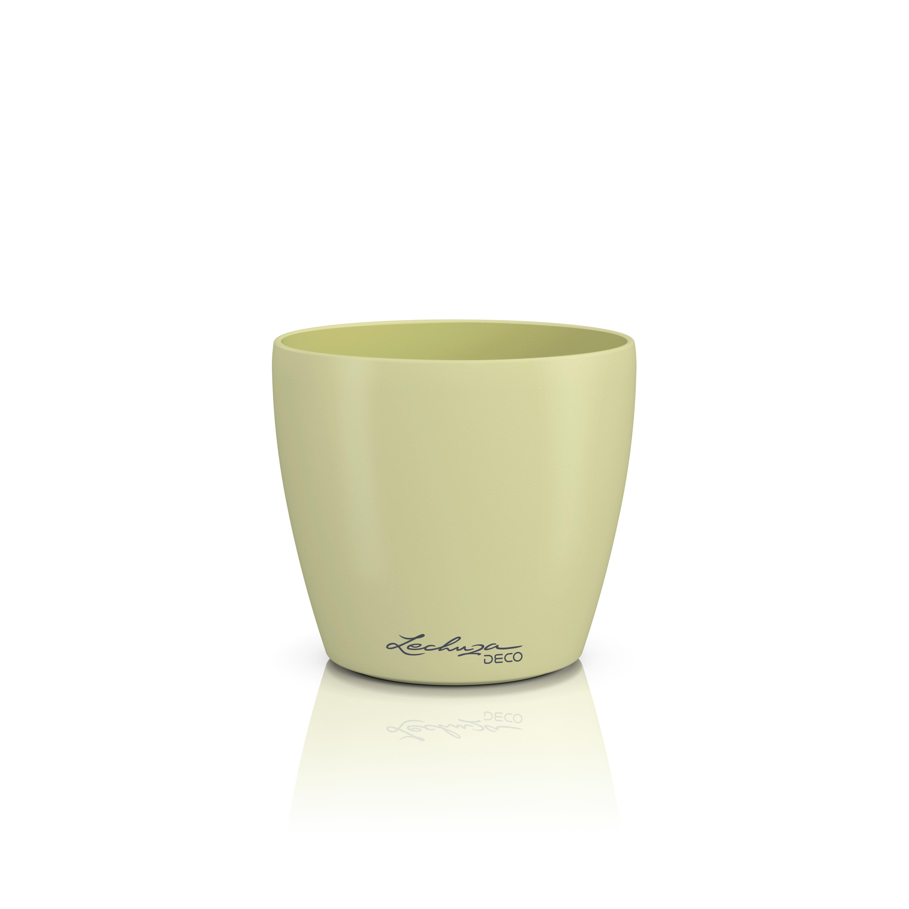 DECO 12 linden