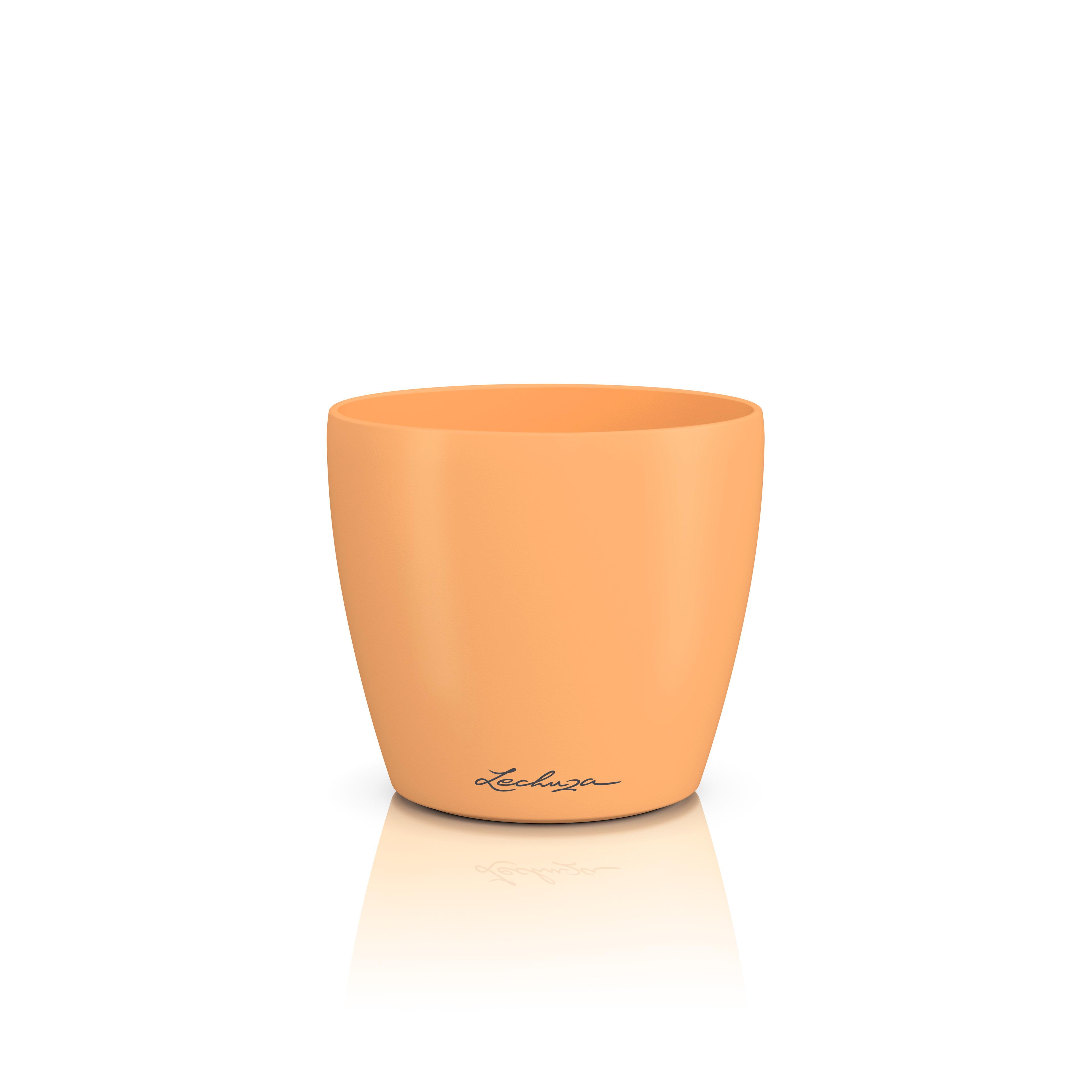 16675_product_image
