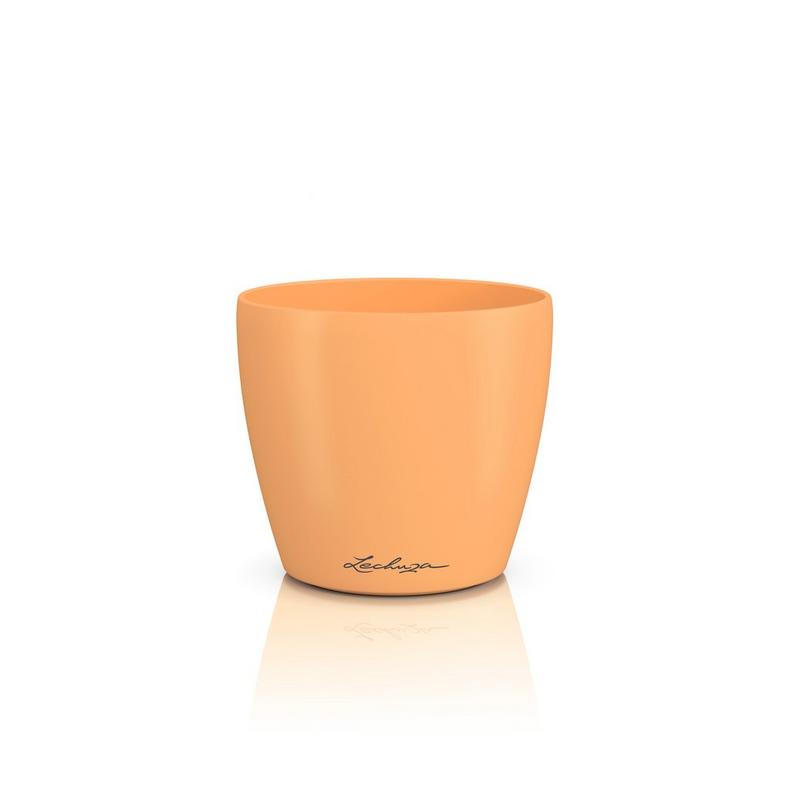 CLASSICO Color DECO 12 papaya