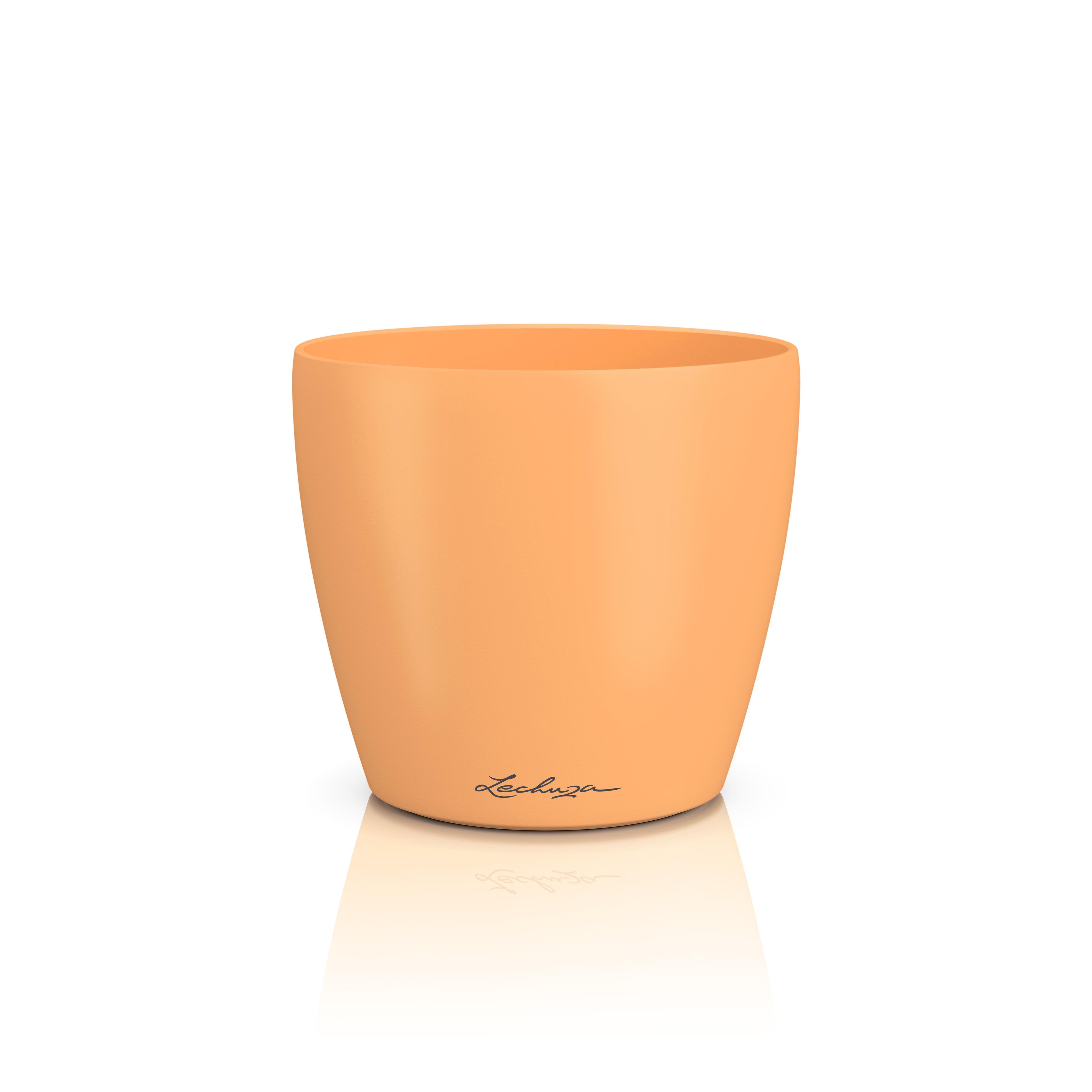 DECO 14 papaya