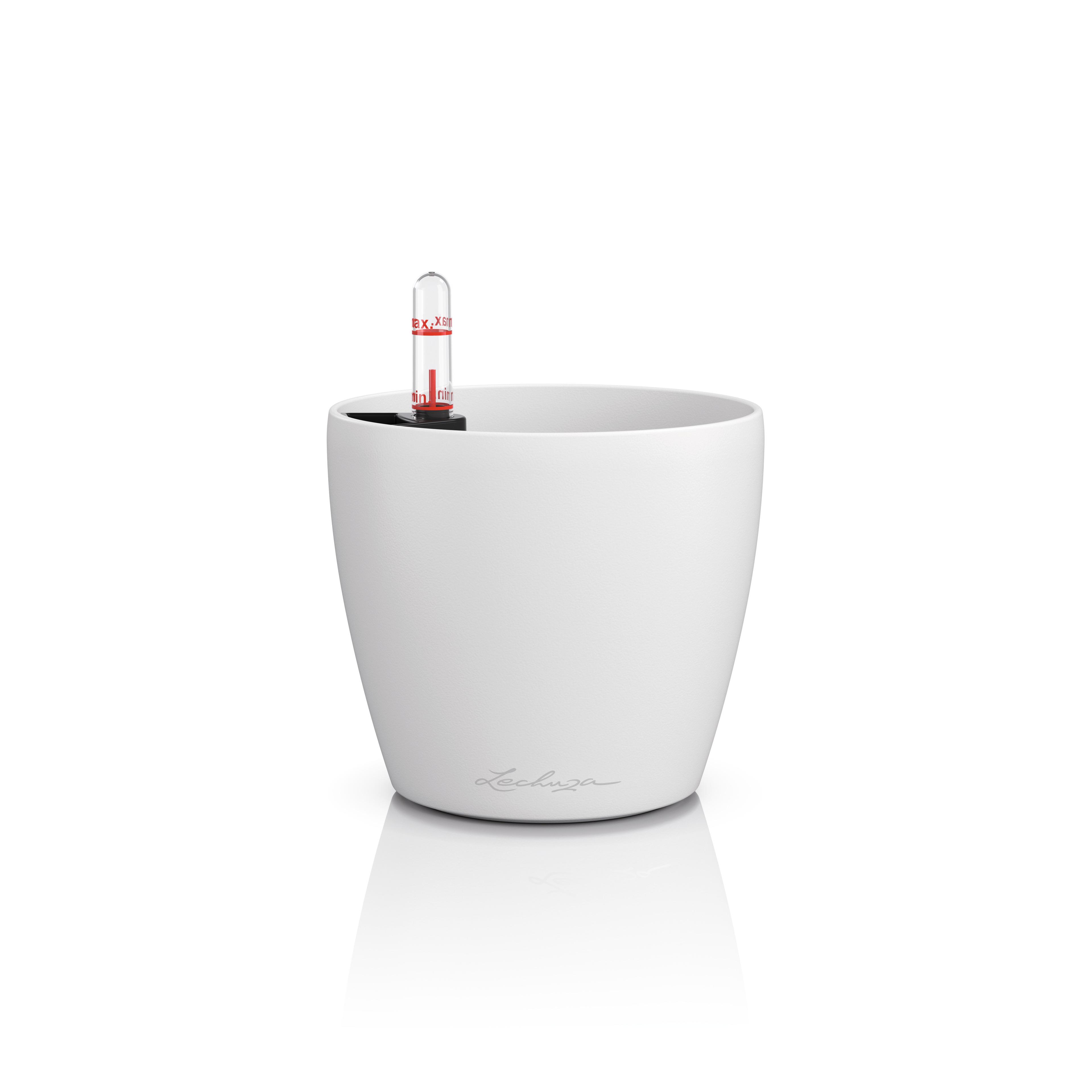 16691_product_image