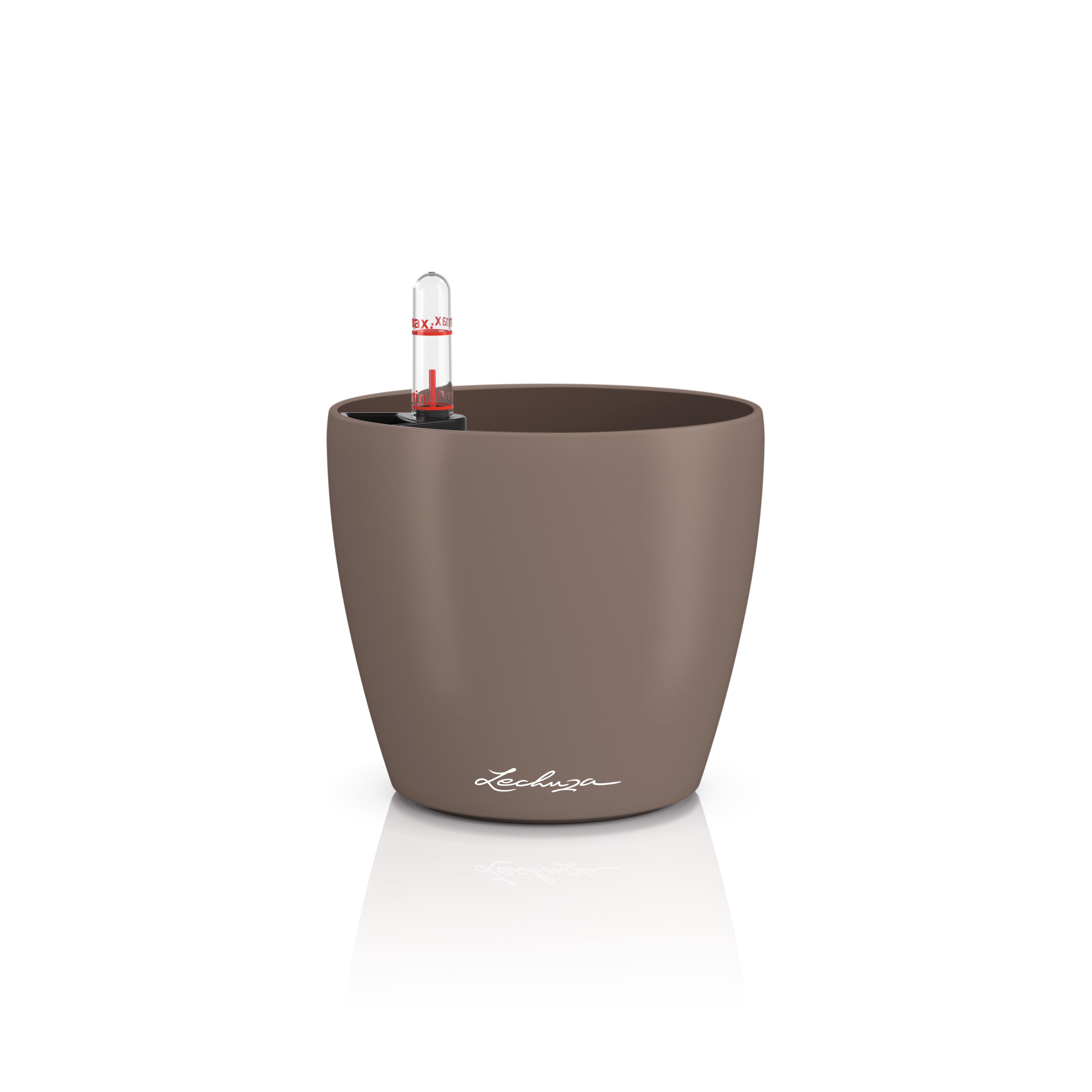 CLASSICO Color 12 nutmeg