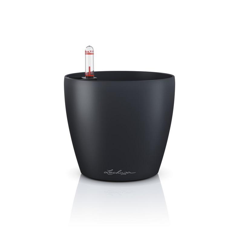 16695_product_image