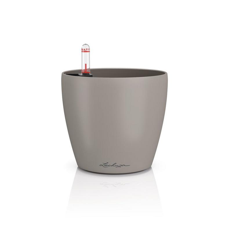 16697_product_image