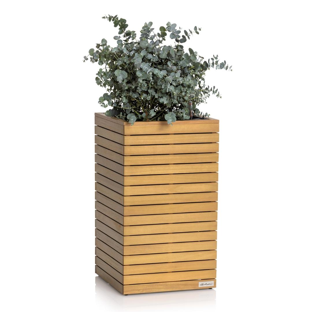 PALO en bois naturel d'eucalyptus 45 high