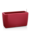 CARARO scarlet red high-gloss thumb 0