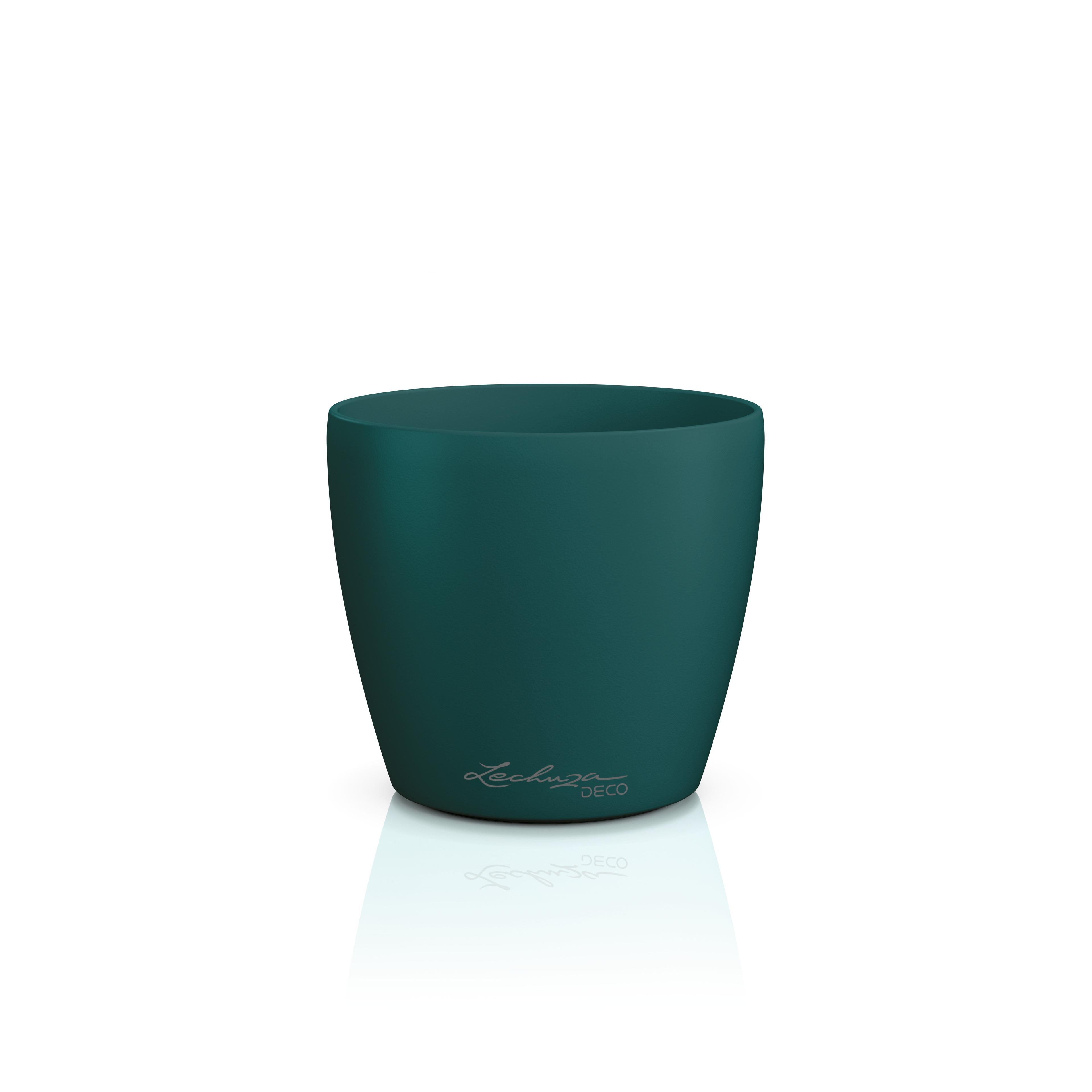 DECO 10 pine