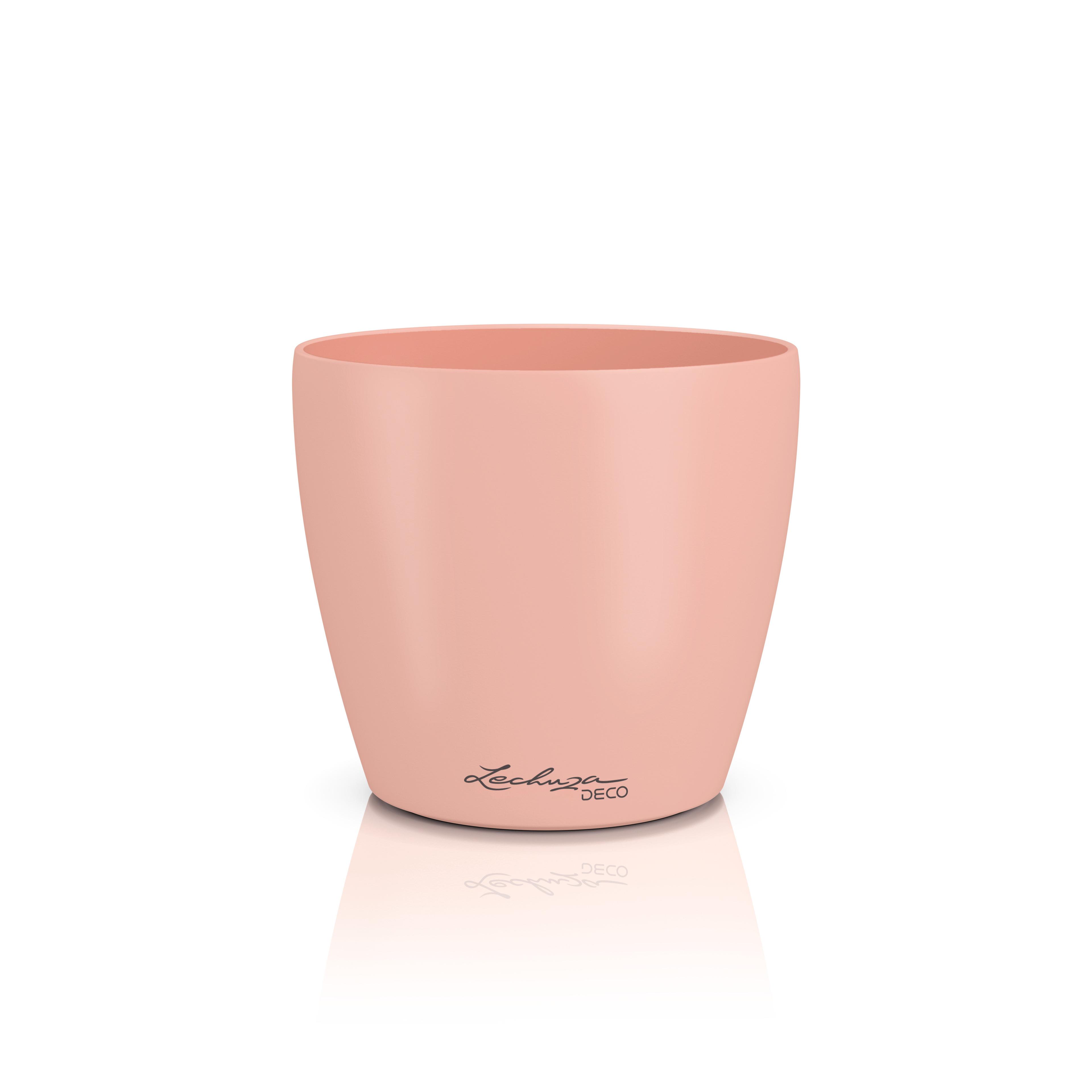 DECO 35 magnolie