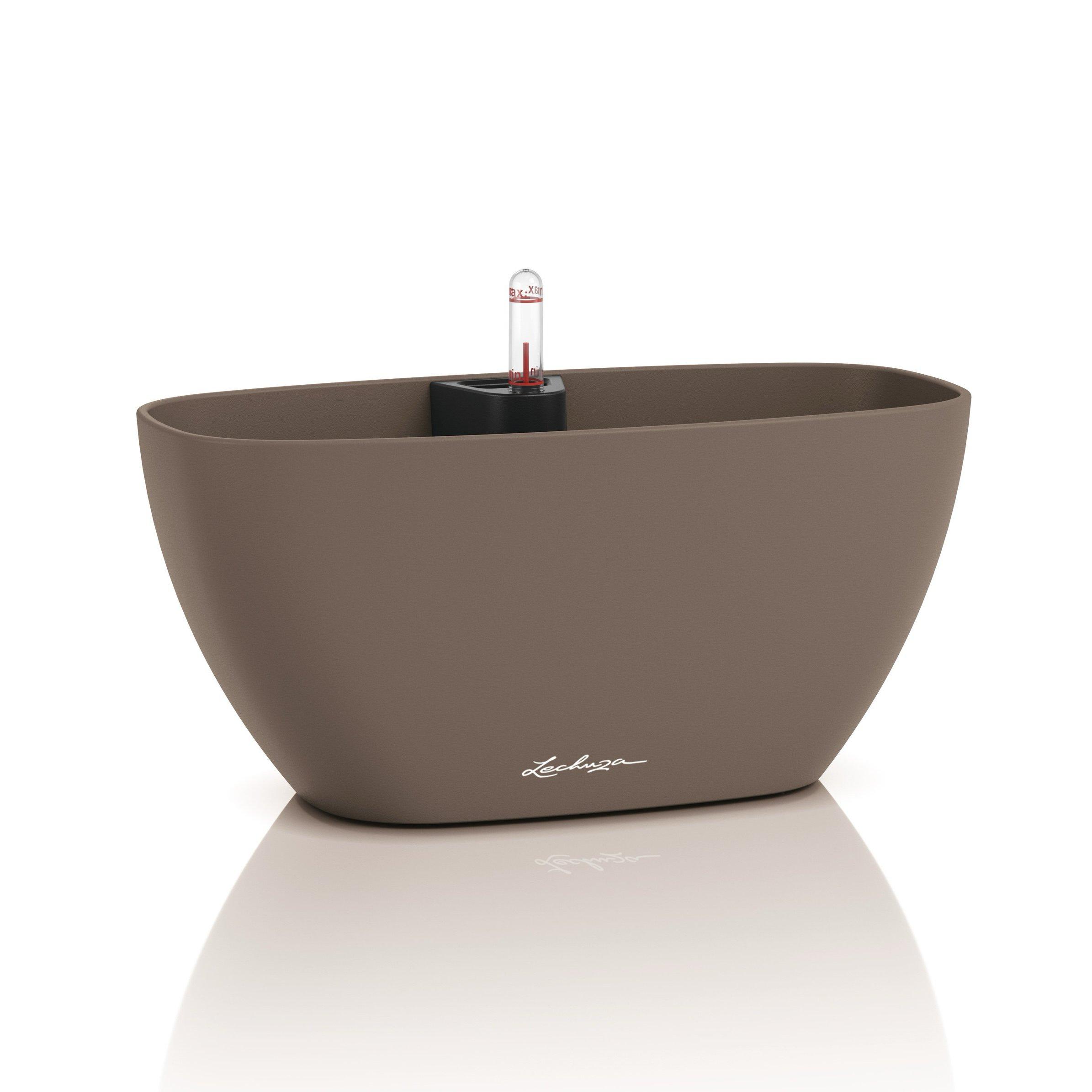 NAVIO Color 10 muskat