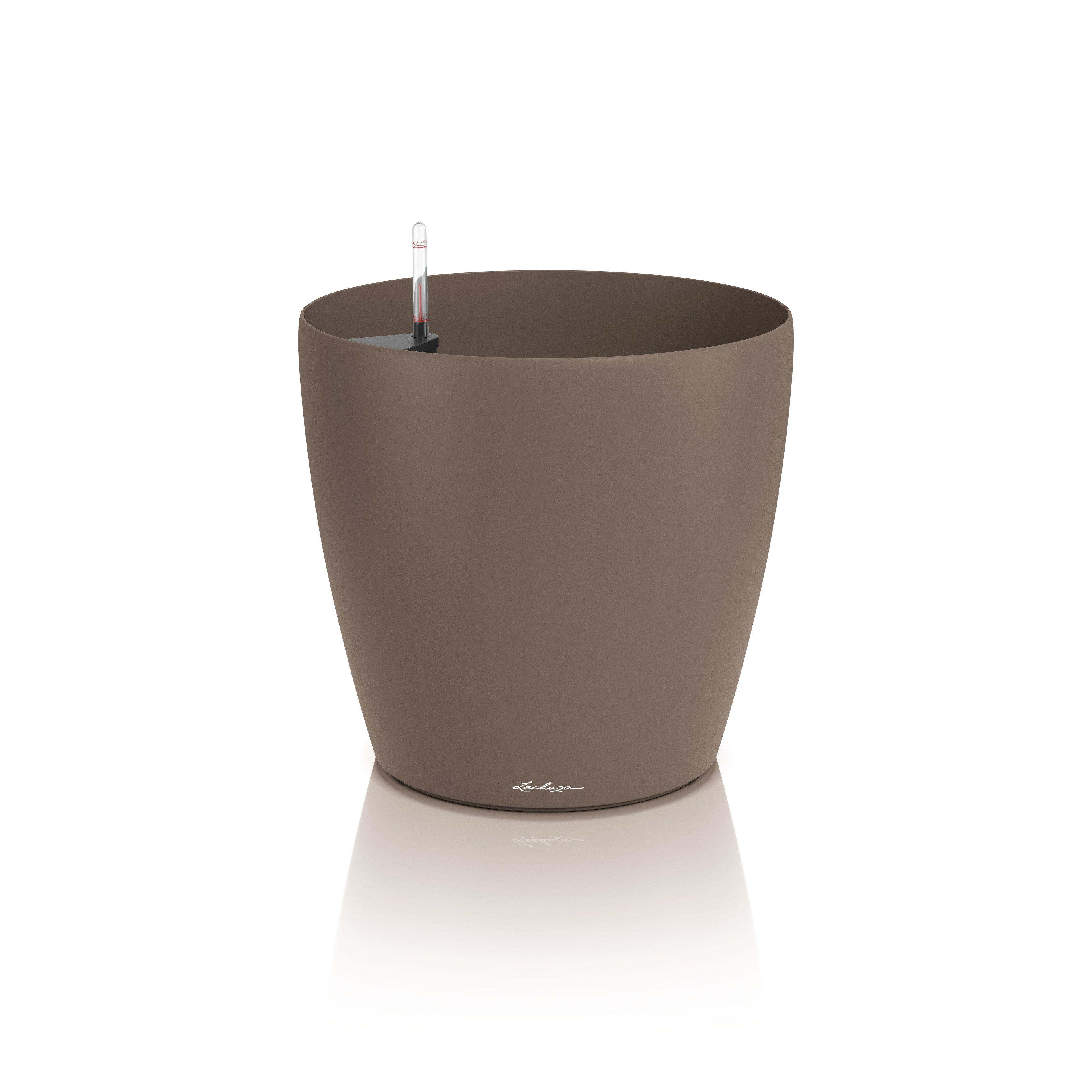 CLASSICO Color 50 nutmeg