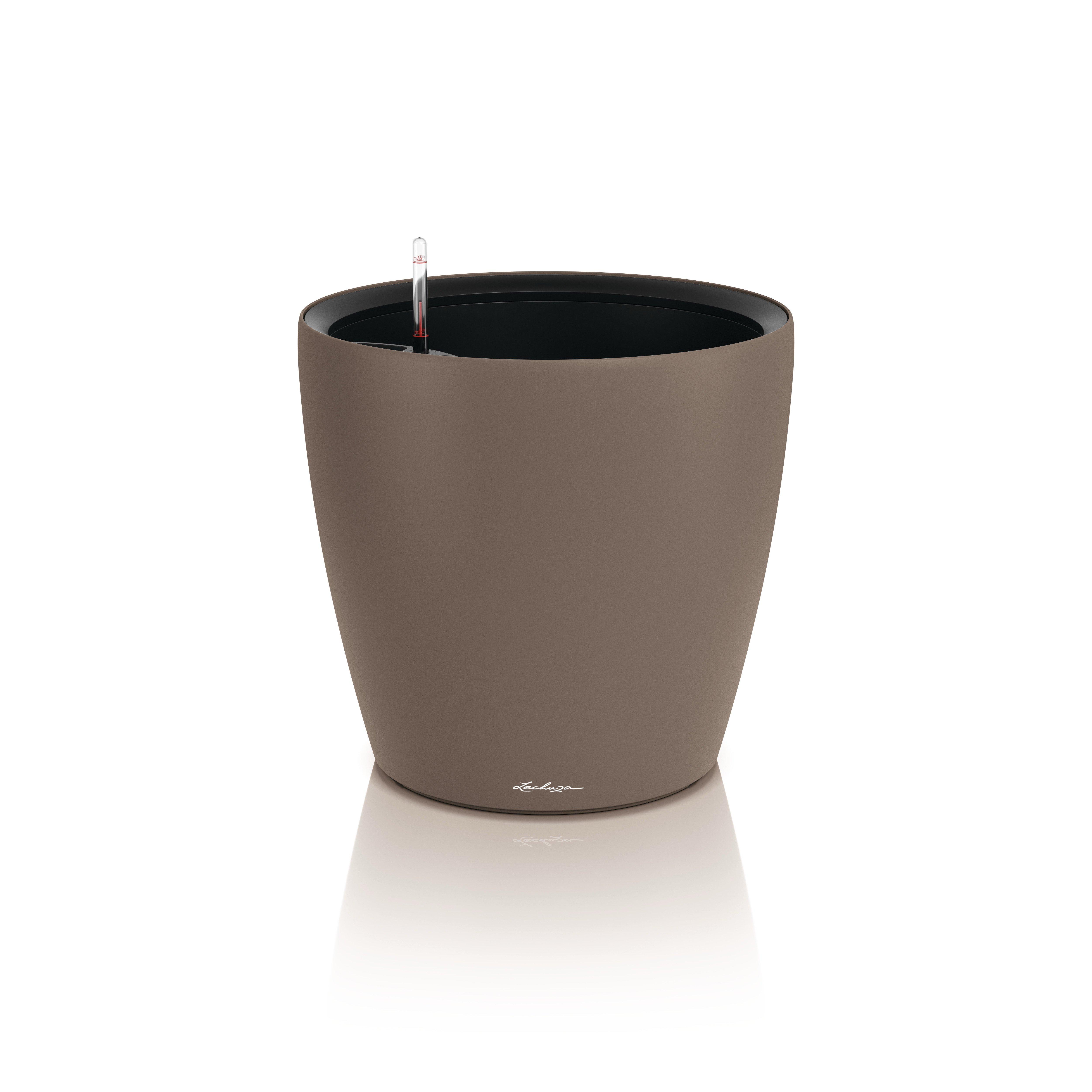 CLASSICO Color LS 50 nutmeg