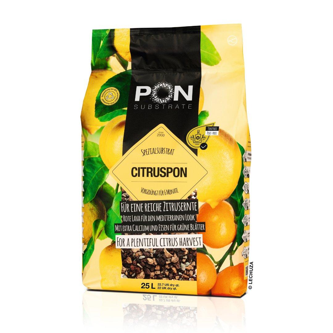 &Upsilon;&pi;ό&sigma;&tau;&rho;&omega;&mu;&alpha; &phi;ύ&tau;&epsilon;&upsilon;&sigma;&eta;&sigmaf; CITRUSPON 25 &lambda;ί&tau;&rho;&alpha;