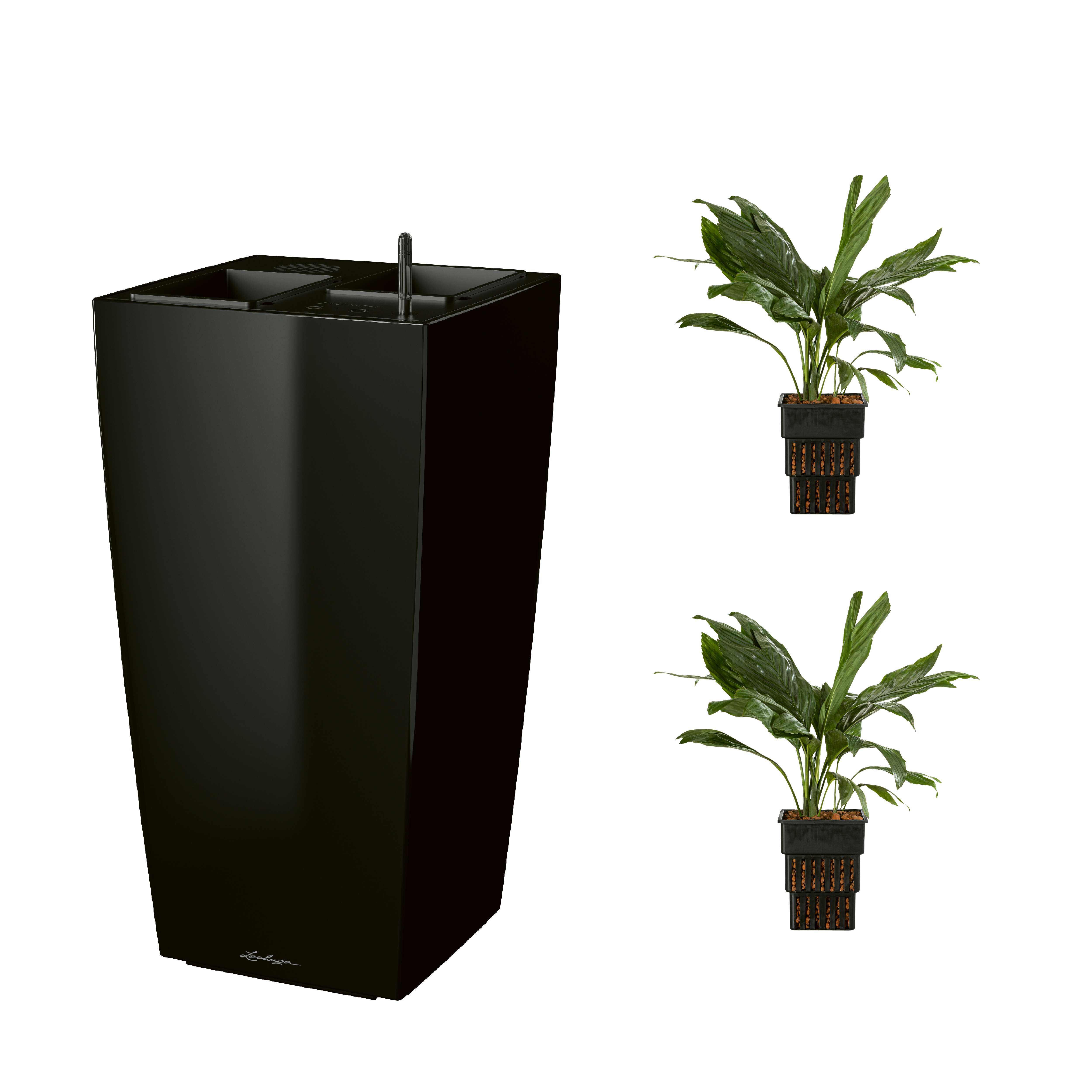 AIRCLEANpro CUBICO 40 schwarz hochglanz mit Chamaedorea metallica und Chamaedorea metallica