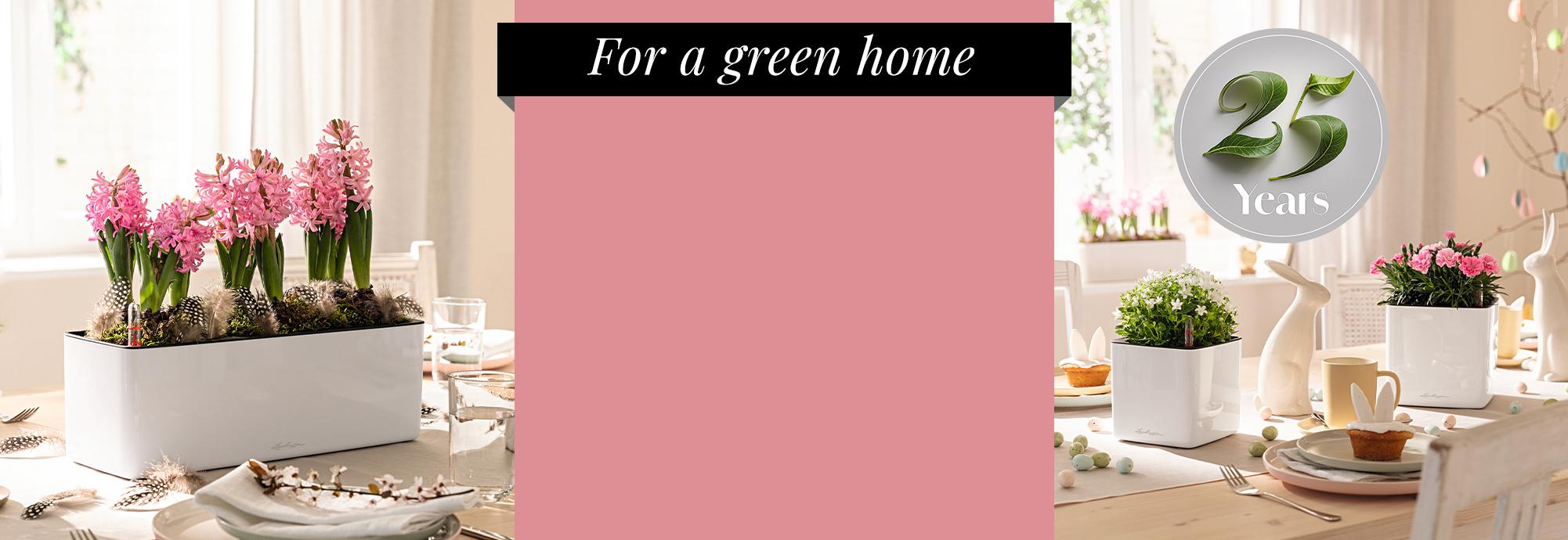 The secret of beautiful plants for 25 years