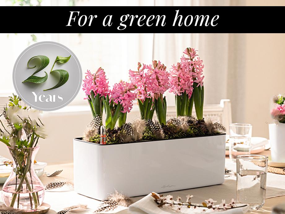 The secret of beautiful plants for 25 years