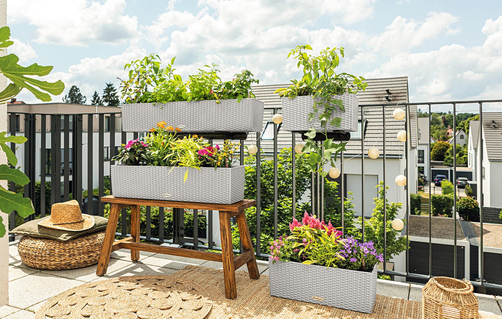 Lechuza Au&szlig;engef&auml;&szlig;e