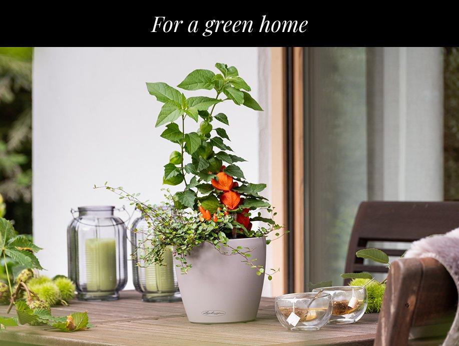 LECHUZA Self-Watering Planters