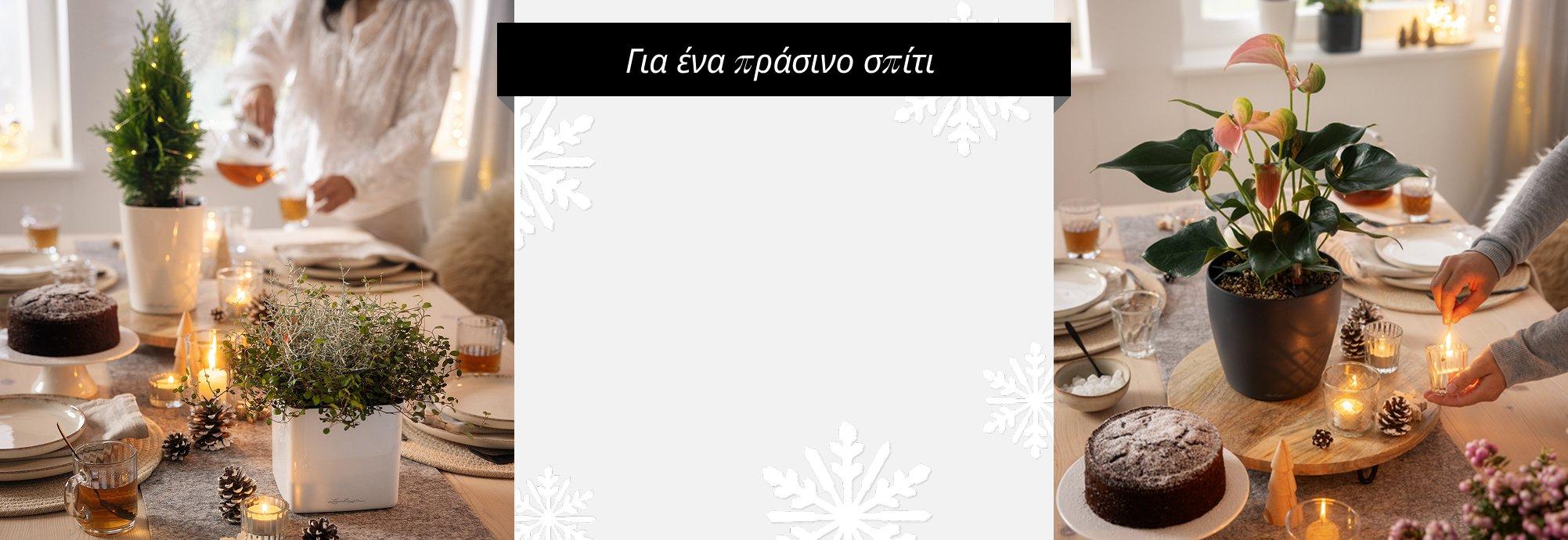 &Tau;&omicron; &mu;&upsilon;&sigma;&tau;&iota;&kappa;ό &tau;&omega;&nu; ό&mu;&omicron;&rho;&phi;&omega;&nu; &phi;&upsilon;&tau;ώ&nu; &gamma;&iota;&alpha;
      25 &chi;&rho;ό&nu;&iota;&alpha;