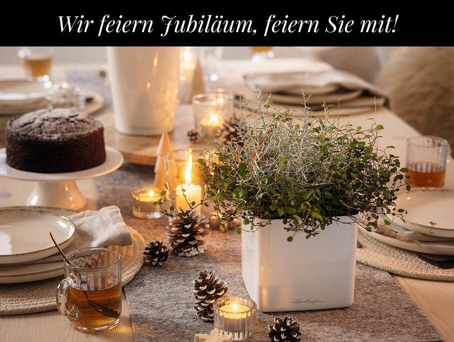 Seit 25 Jahren das Geheimnis
        sch&ouml;ner Pflanzen