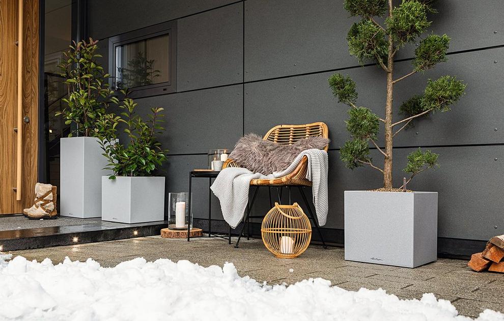 Lechuza
          CANTO