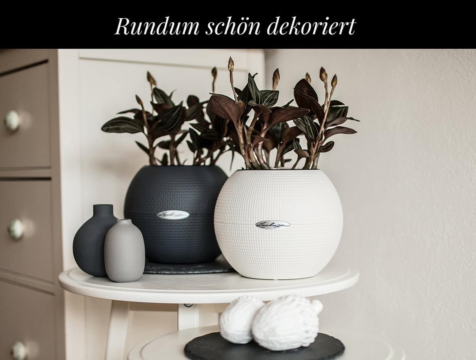 15 % Rabatt auf PURO 20 in
        allen Farben