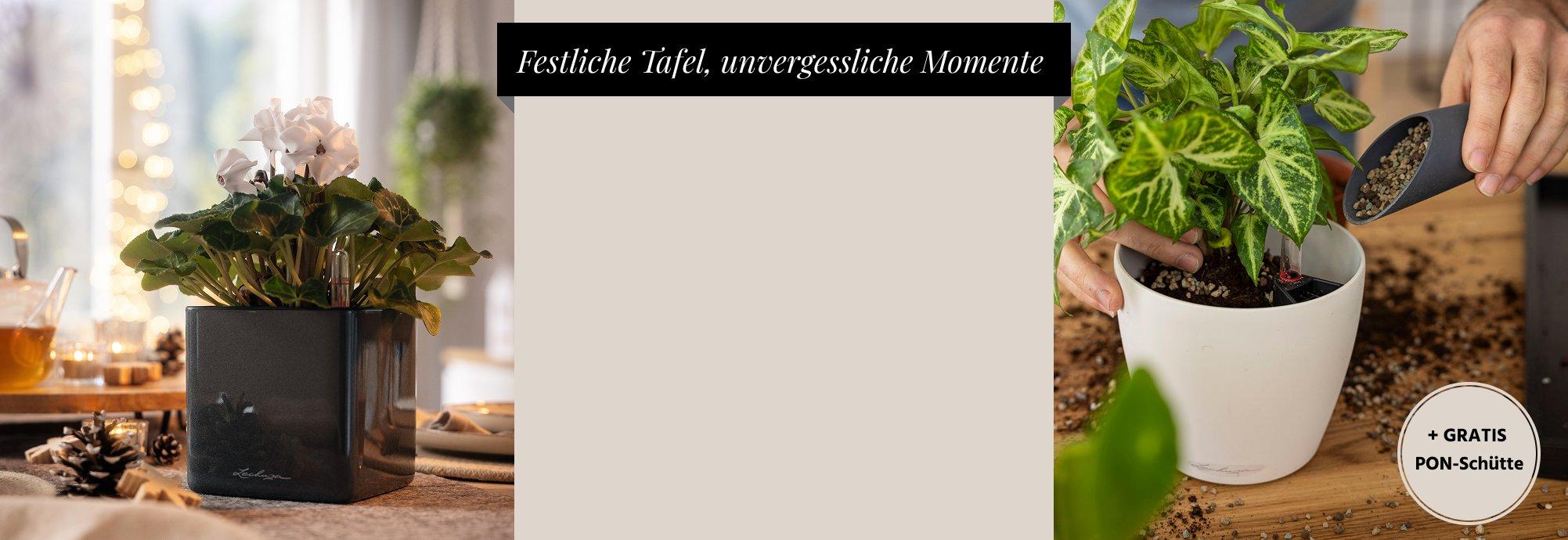 15 % Rabatt auf PURO 20 in allen
      Farben
