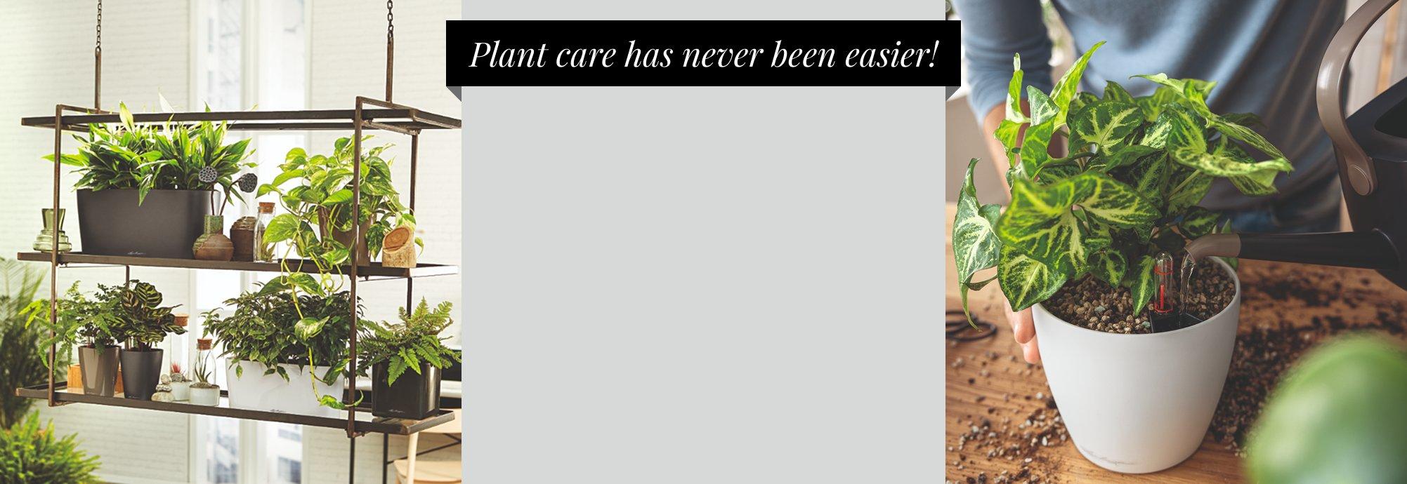 Plant care has never been easier!