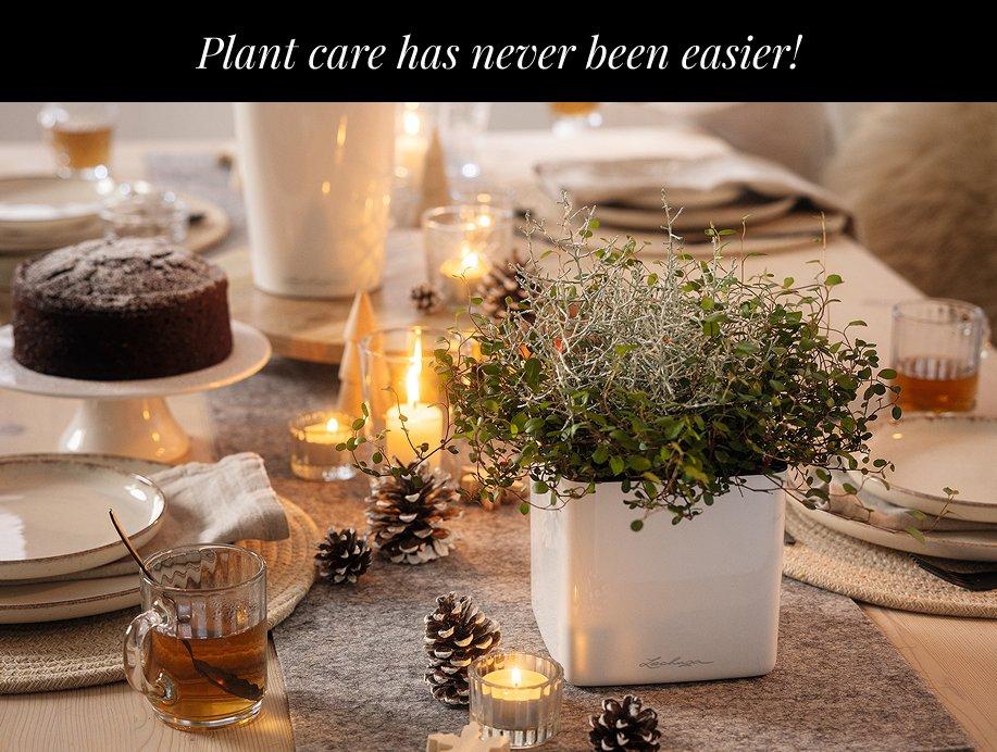 Plant care has never been
        easier!