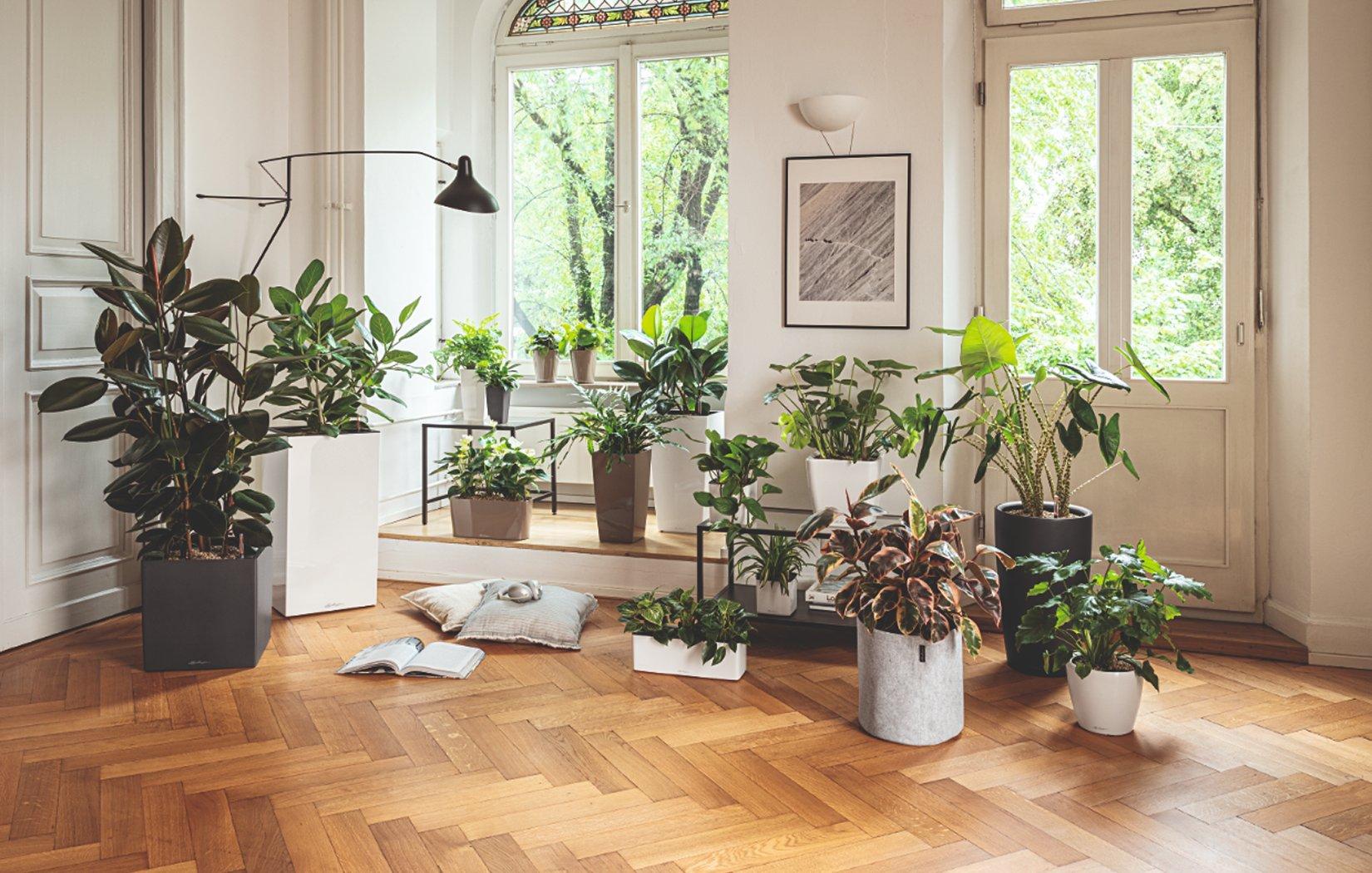 Lechuza
          &Gamma;&lambda;ά&sigma;&tau;&rho;&epsilon;&sigmaf; &gamma;&iota;&alpha; &epsilon;&sigma;&omega;&tau;&epsilon;&rho;&iota;&kappa;&omicron;ύ&sigmaf; &chi;ώ&rho;&omicron;&upsilon;&sigmaf;