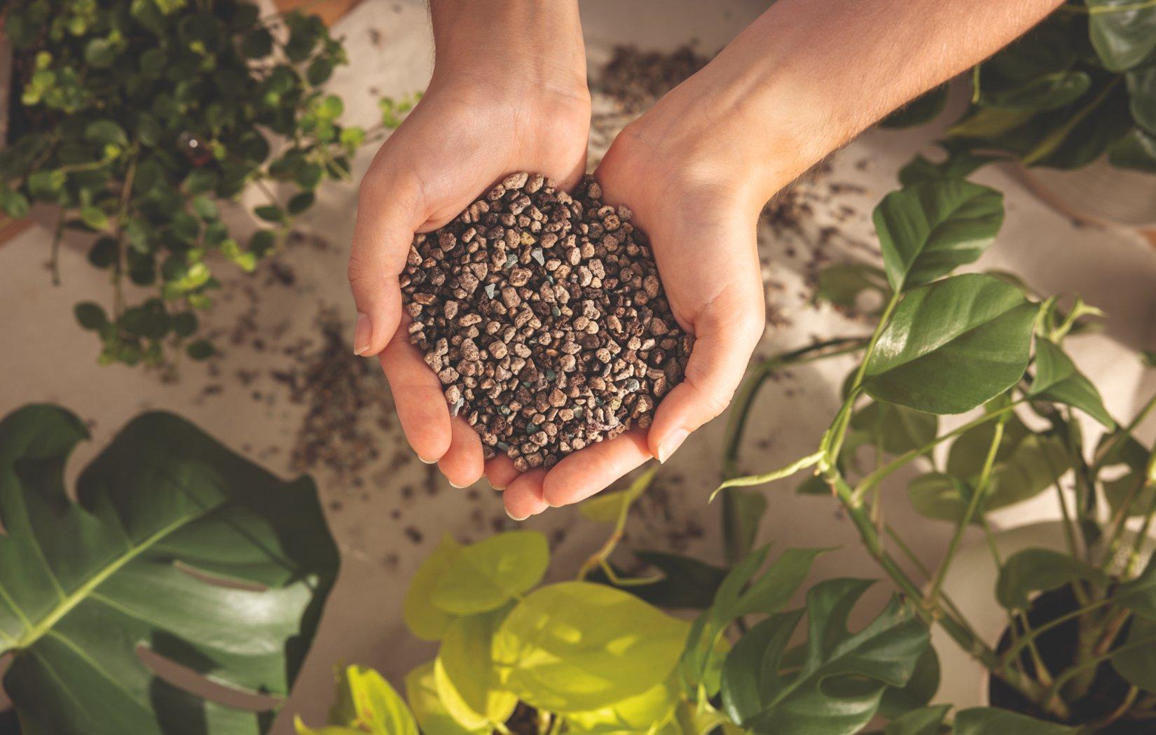 Lechuza
          &Upsilon;&pi;&omicron;&sigma;&tau;&rho;ώ&mu;&alpha;&tau;&alpha; &phi;ύ&tau;&epsilon;&upsilon;&sigma;&eta;&sigmaf;