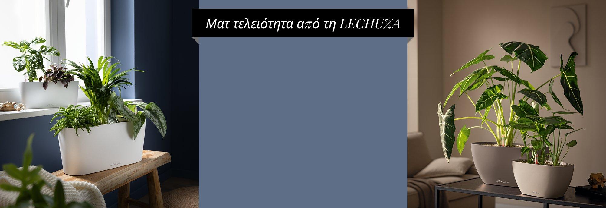 &Alpha;&nu;&alpha;&kappa;&alpha;&lambda;ύ&psi;&tau;&epsilon; &tau;&eta; &nu;έ&alpha; &sigma;&upsilon;&lambda;