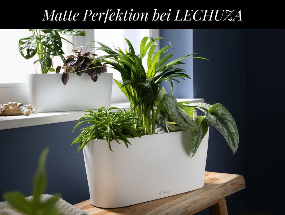 Entdecken Sie unsere Neuheiten