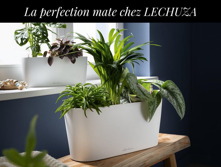 D&eacute;couvrez nos nouveaut&eacute;s