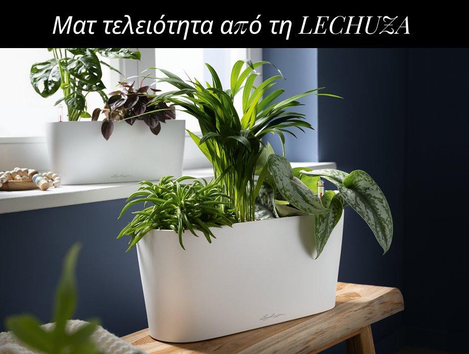 &Alpha;&nu;&alpha;&kappa;&alpha;&lambda;ύ&psi;&tau;&epsilon; &tau;&eta; &nu;έ&alpha; &sigma;&upsilon;&lambda;&lambda;&omicron;&gamma;ή