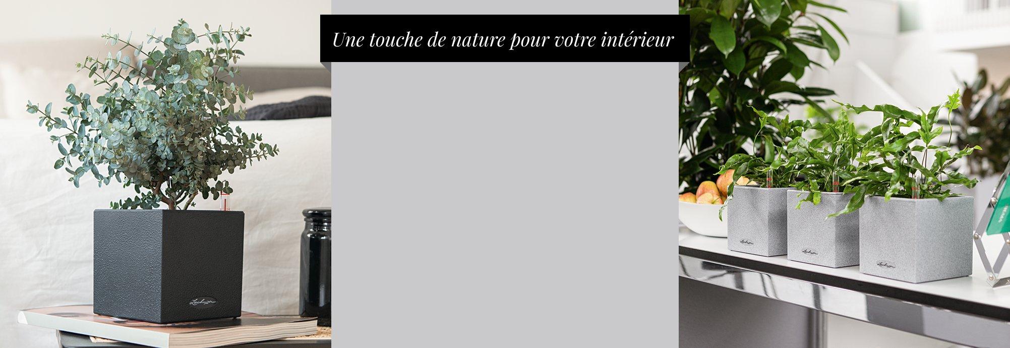 15 % de r&eacute;duction sur CANTO Stone
      14