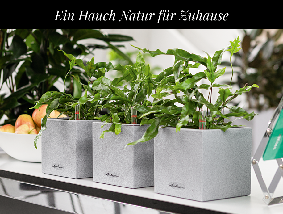 15 % Rabatt auf CANTO Stone
        14