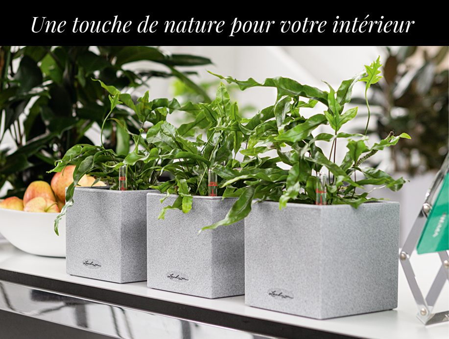 15 % de r&eacute;duction sur CANTO
        Stone 14