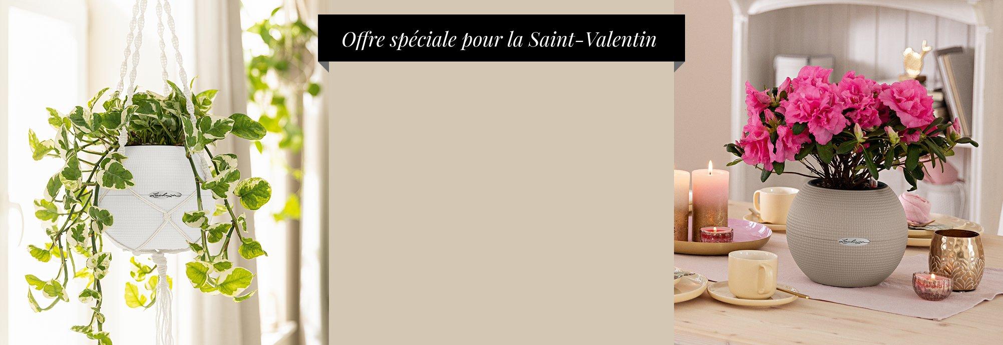 Deux PURO 20 pour seulement 30
      &euro;