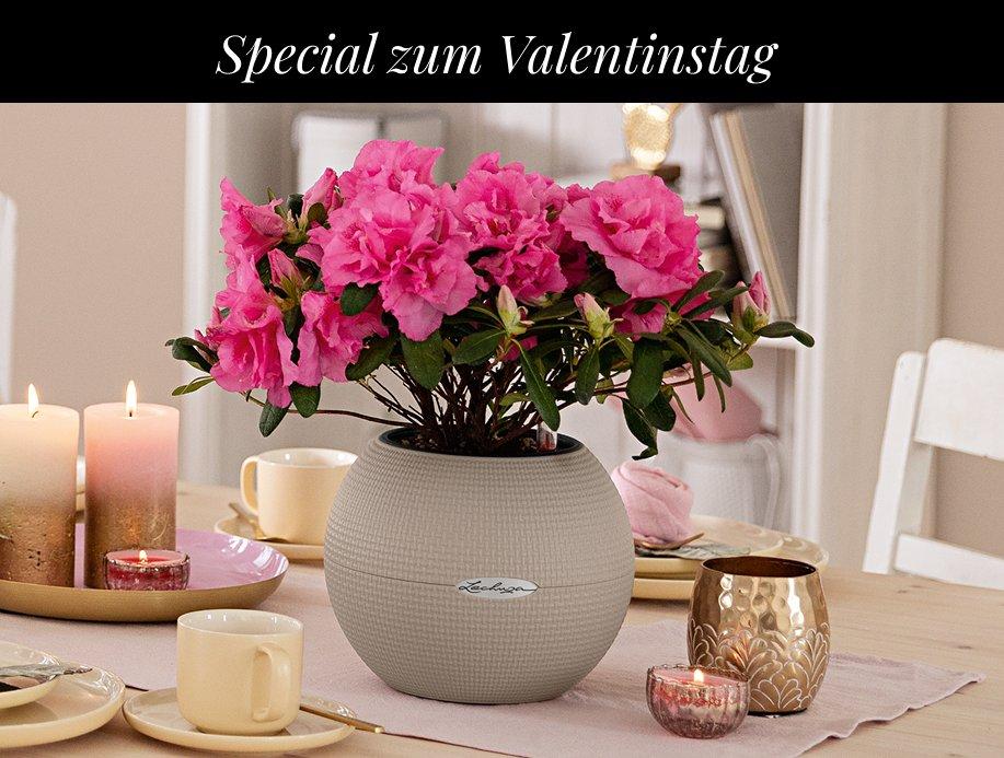 Zwei PURO 20 f&uuml;r nur 30 &euro;