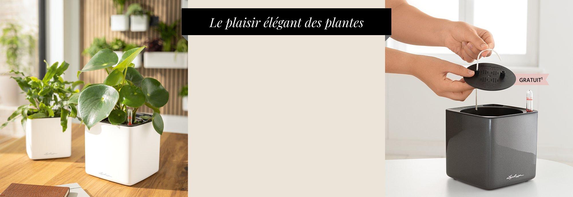 Achetez 2 CUBE Premium 14/16 et
      recevez gratuitement un disque de plantation