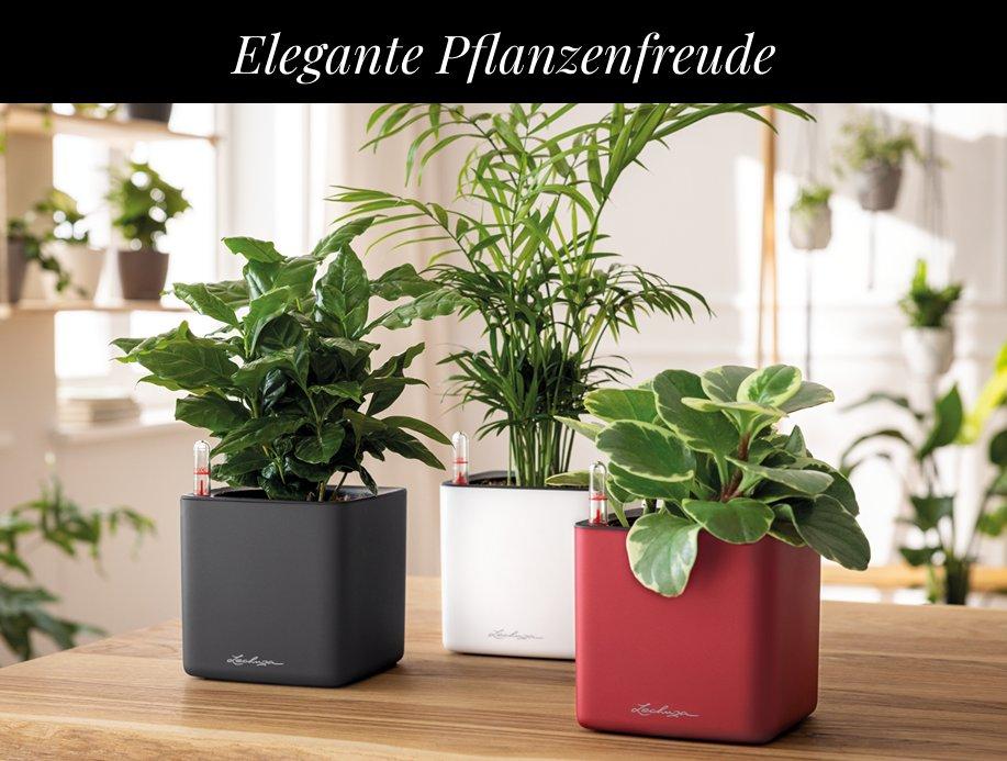 '2x CUBE Premium 14/16 kaufen