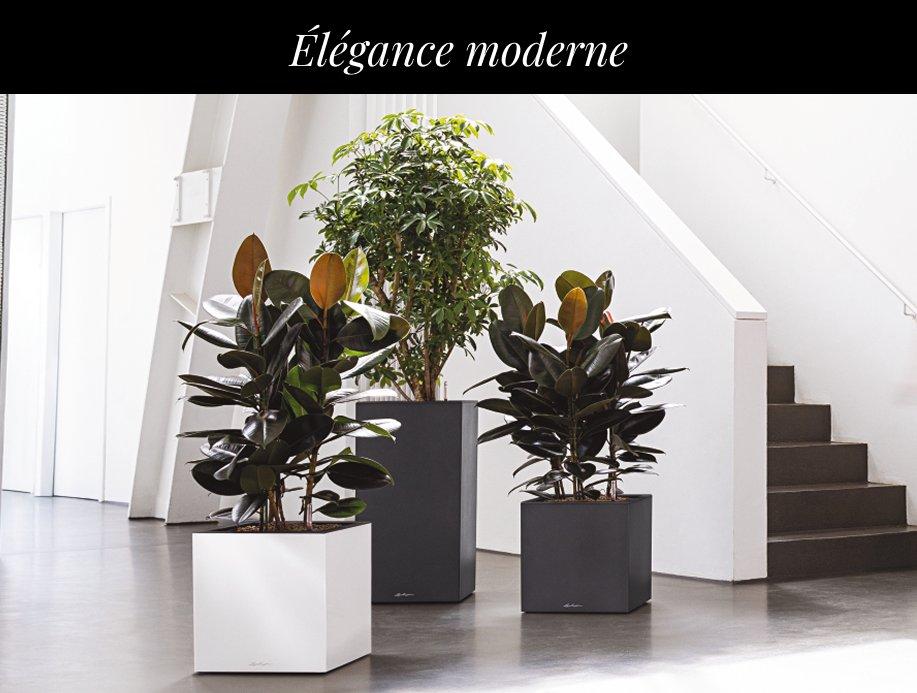 Jusqu&rsquo;&agrave; 25 &euro; de r&eacute;duction&sup2; sur
        CANTO Premium 40