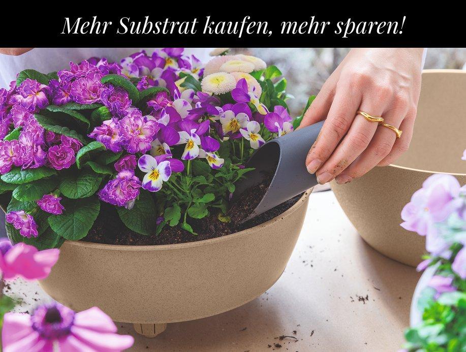 Bis zu 20 % Rabatt auf
        PON