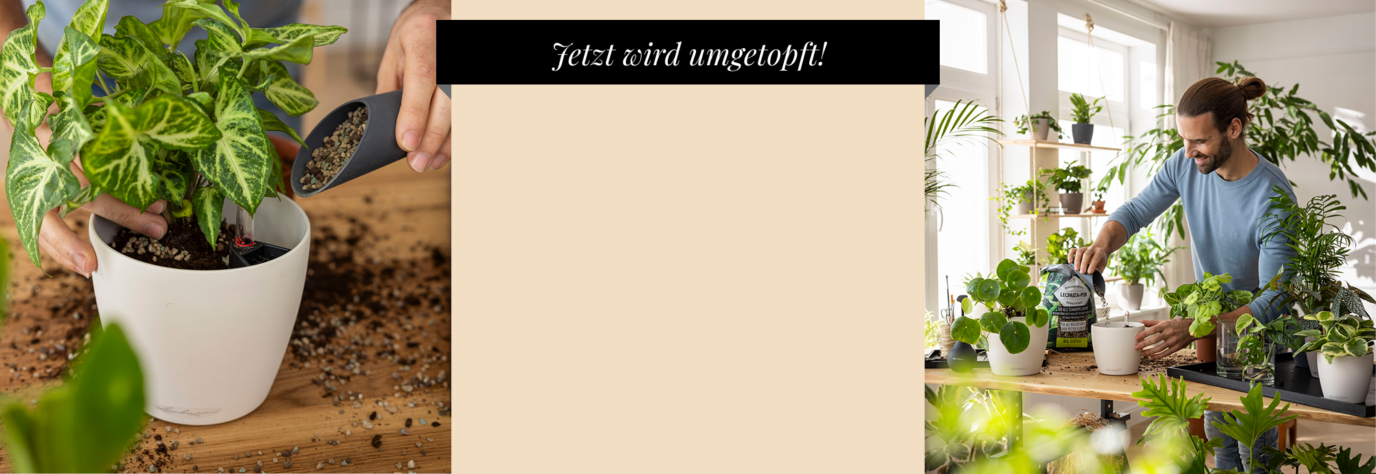 Kleine PON-Sch&uuml;tte gratis ab 25
      &euro;