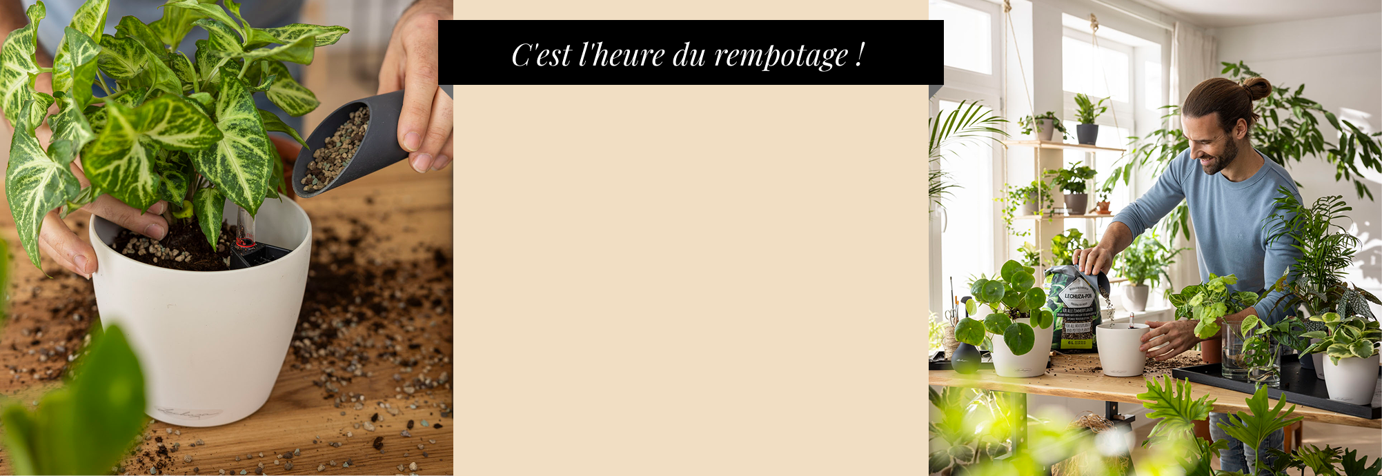 Petit verseur PON gratuit &agrave;
      partir de 25 &euro;