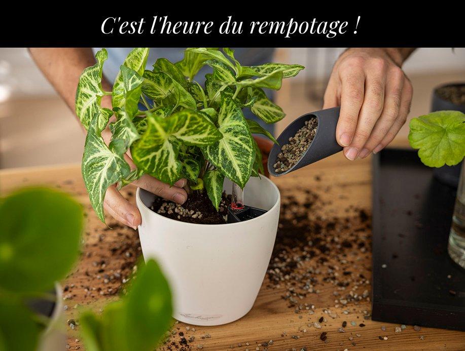 gratuit &agrave; partir de 25 &euro;